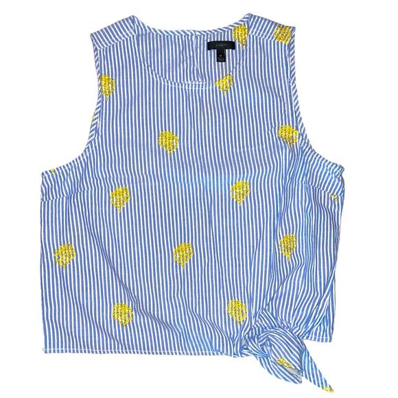 J. Crew Blue Striped Pineapple Embroidered Top size 14 - Picture 1 of 8